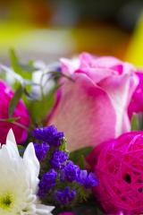 Floralys - votre artisan flauriste à Surgères